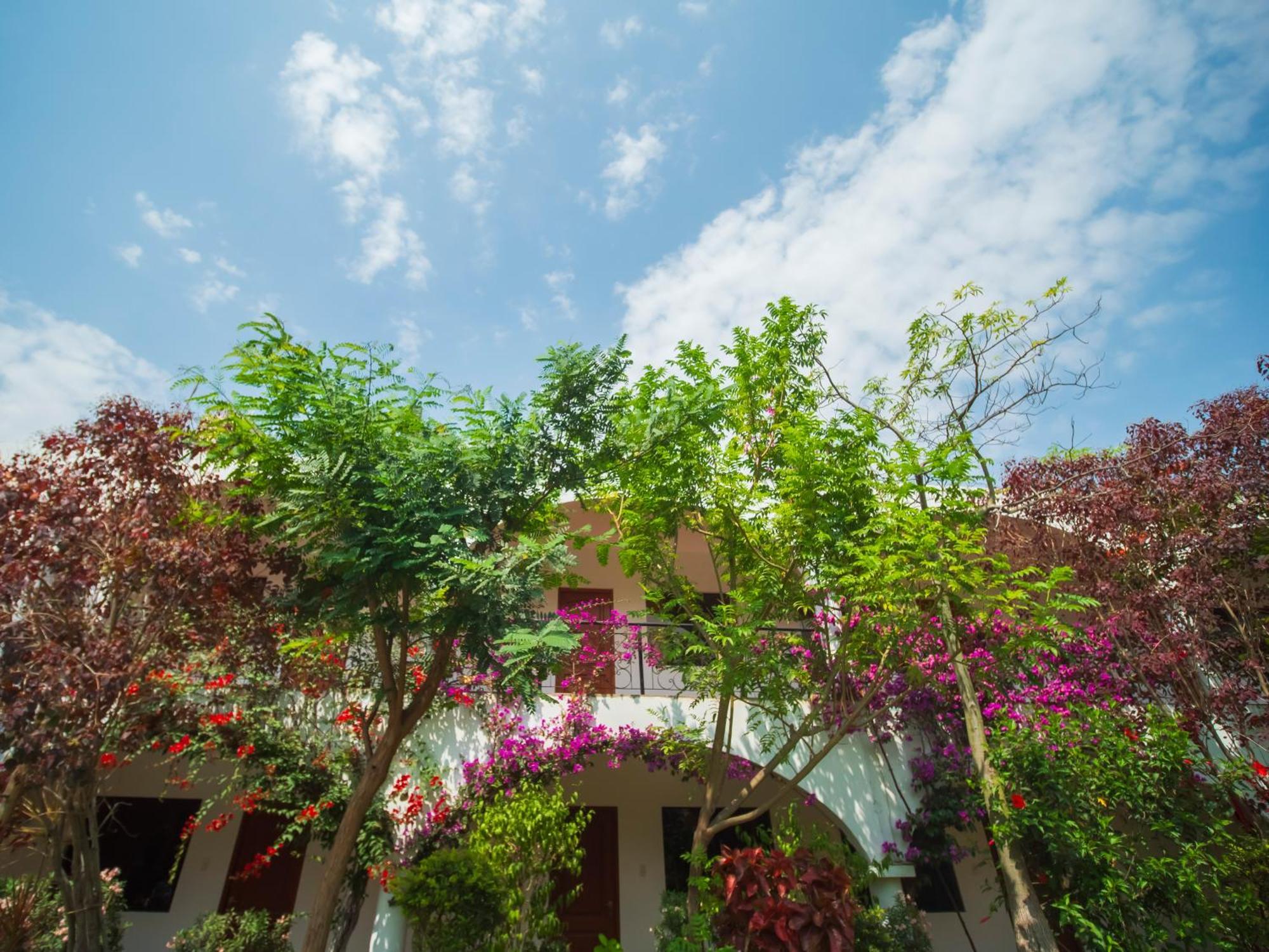 Casa Hotel Mamaluna Lunahuaná Eksteriør bilde