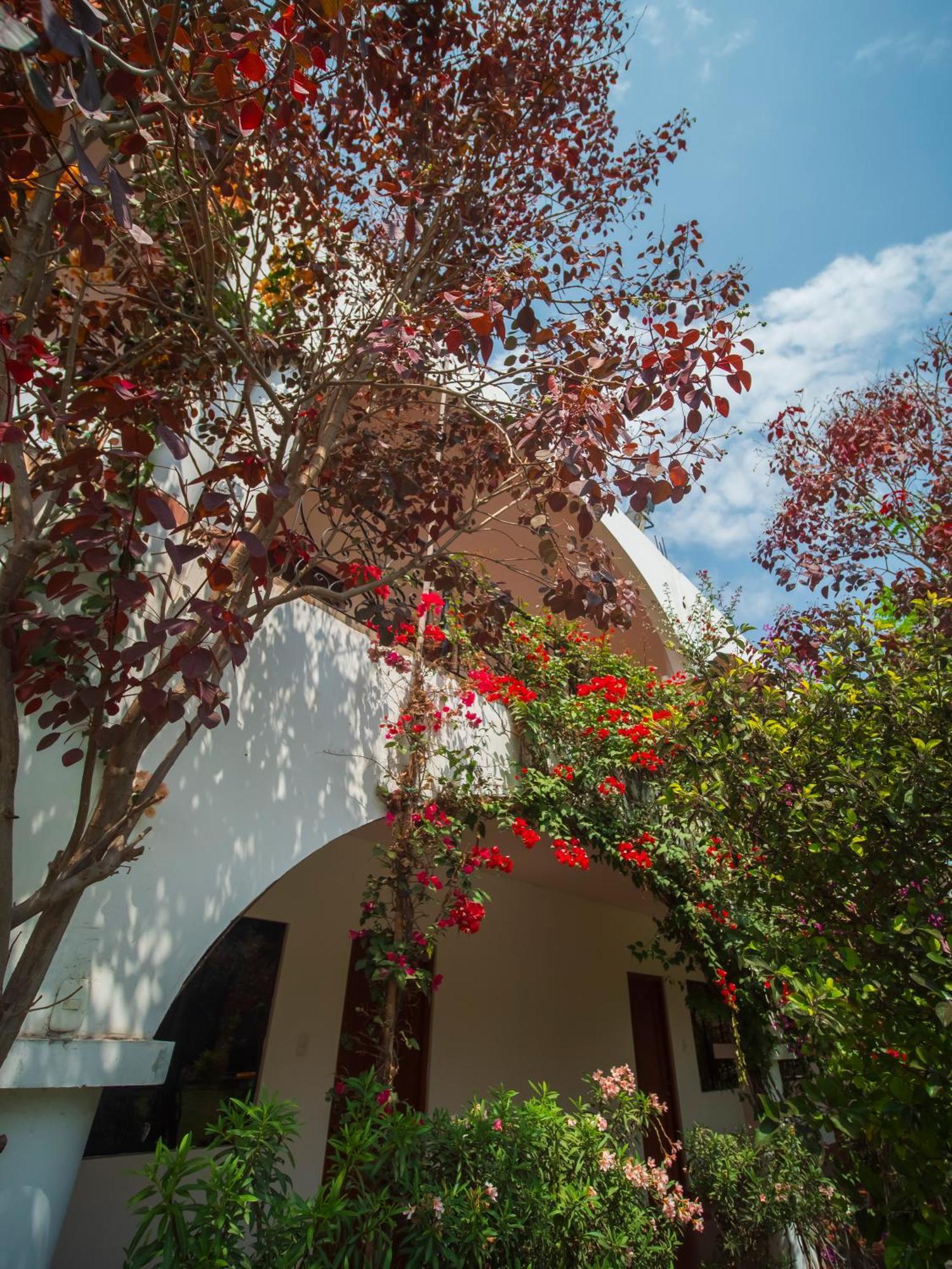 Casa Hotel Mamaluna Lunahuaná Eksteriør bilde